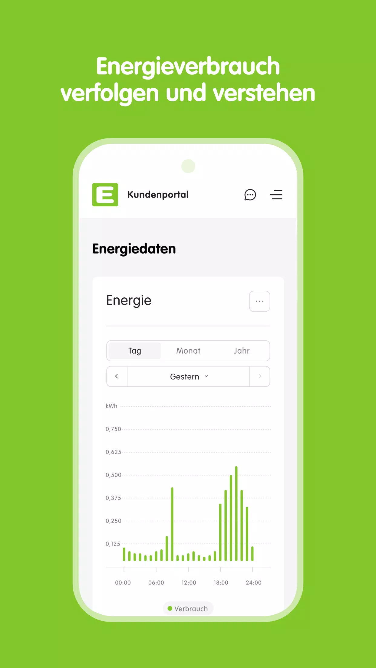 Energie Steiermark screenshot