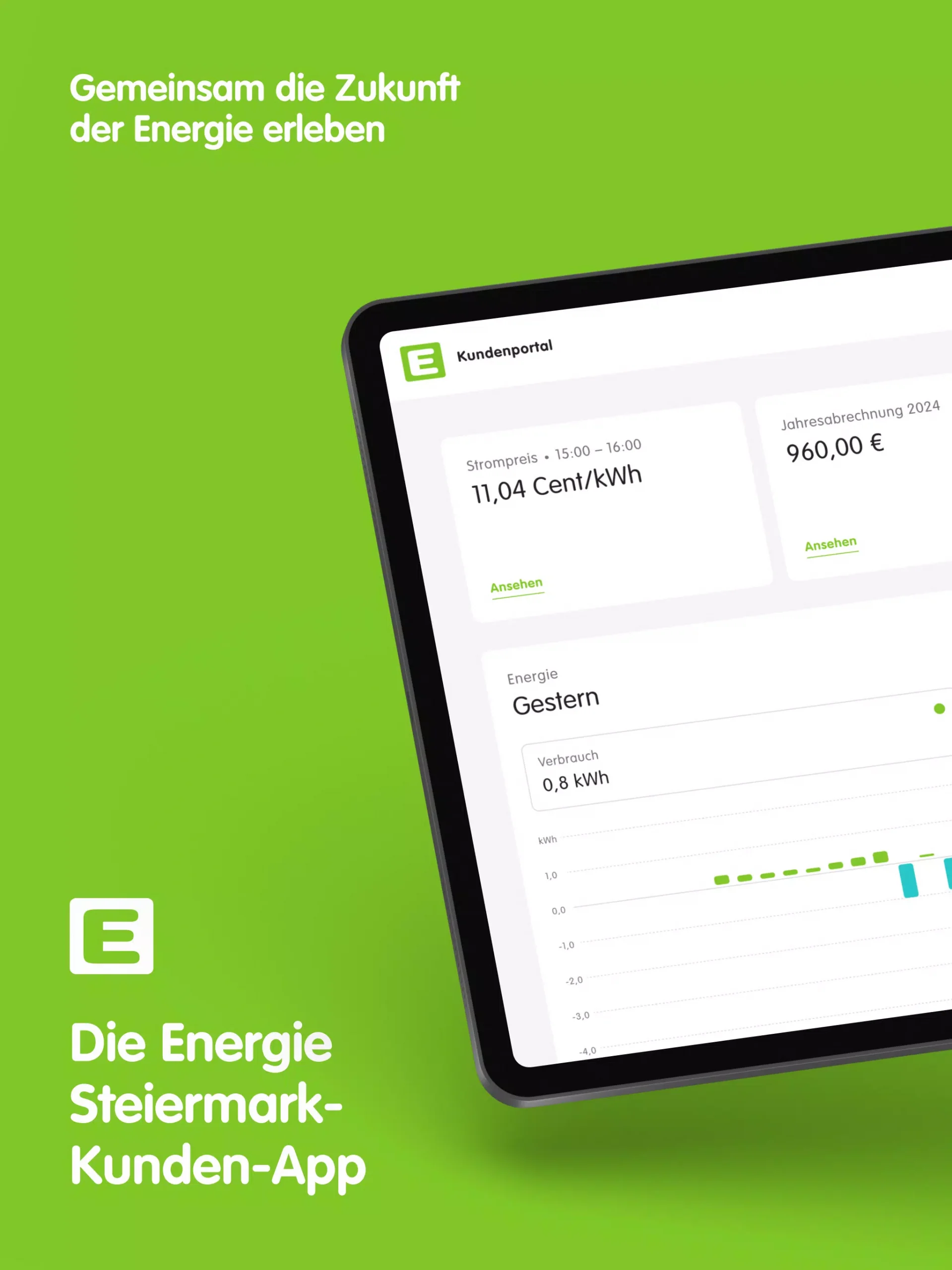 Energie Steiermark screenshot