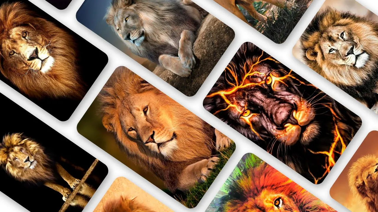 Lion Wallpaper 2024 screenshot